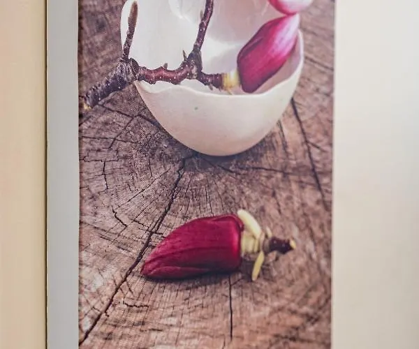 Primorski 2bdrm アパート *